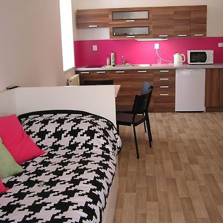 Apartment Třeboň Værelse billede