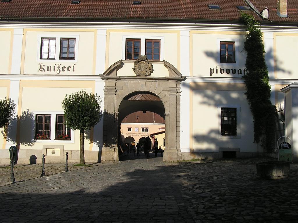 Apartment Třeboň Værelse billede