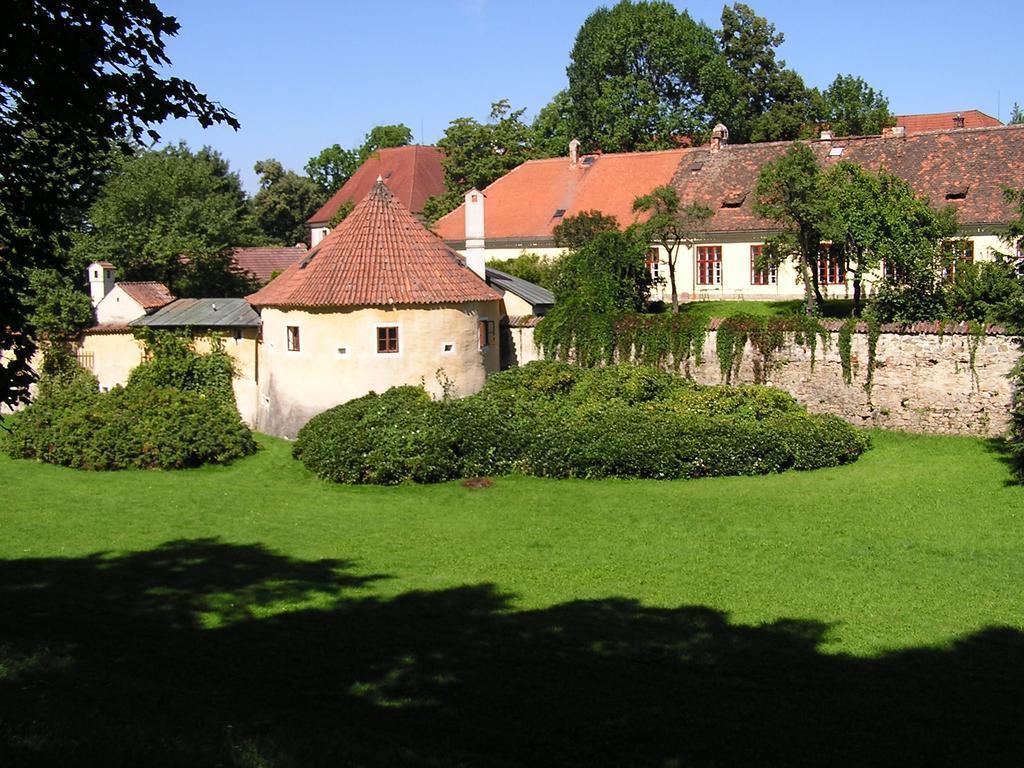 Apartment Třeboň Værelse billede