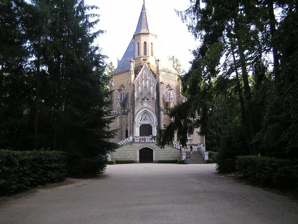 Apartment Třeboň Værelse billede