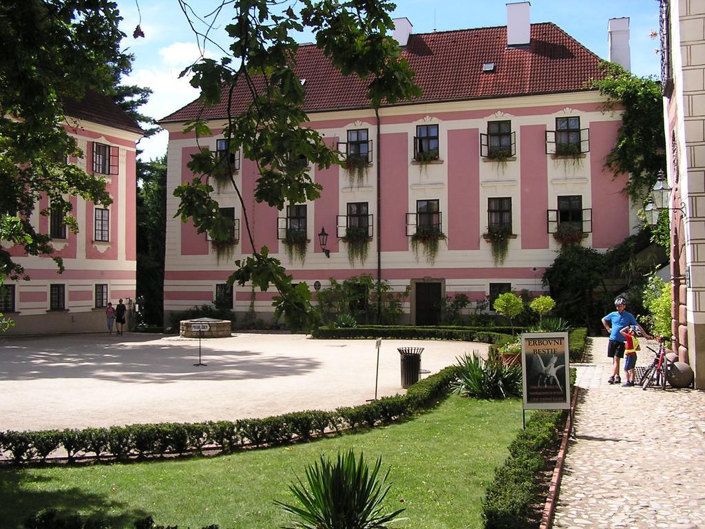 Apartment Třeboň Værelse billede