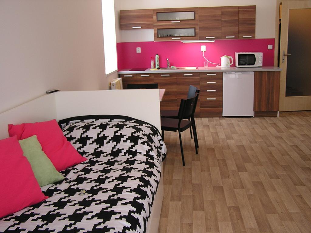 Apartment Třeboň Værelse billede