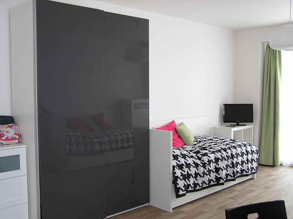 Apartment Třeboň Værelse billede