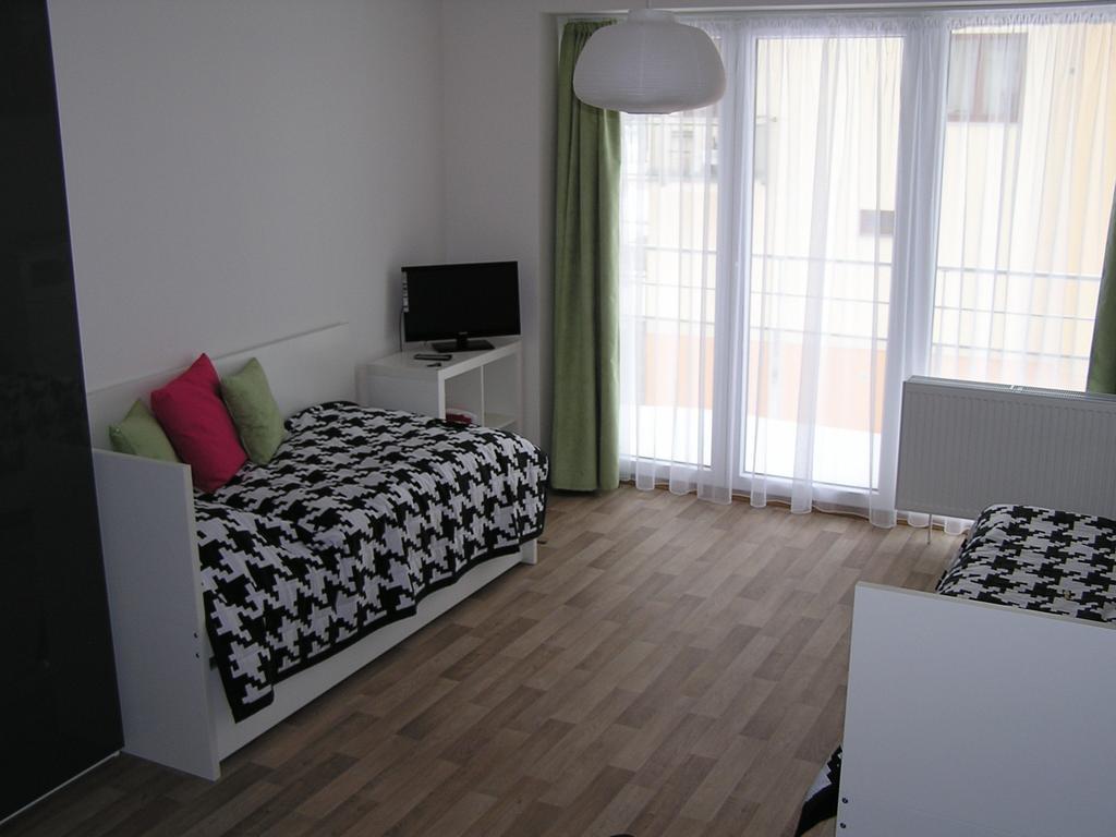 Apartment Třeboň Værelse billede