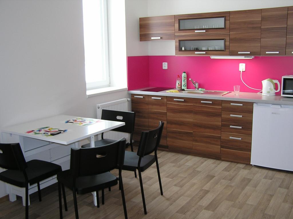 Apartment Třeboň Værelse billede