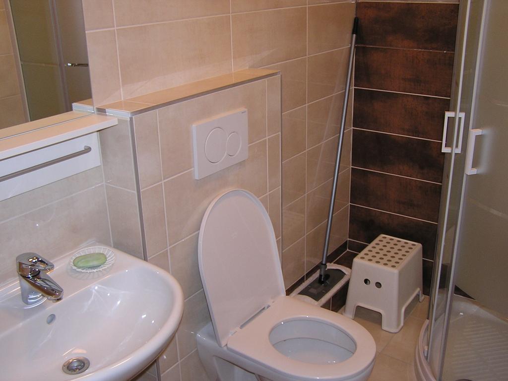 Apartment Třeboň Værelse billede